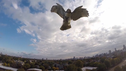 Nano drone swarm: Advanced tiny quadrotors stabilize mid-air, fly in ...