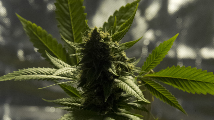 Former US senator to lead new cannabis company, 'Kush'