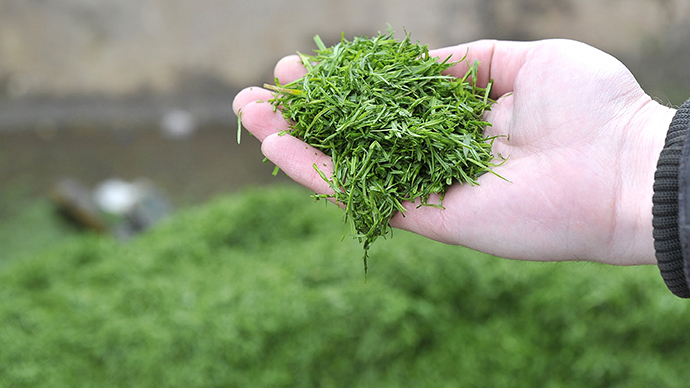 New antibiotic found in ‘grassy field’ proves effective against drug-resistant bacteria