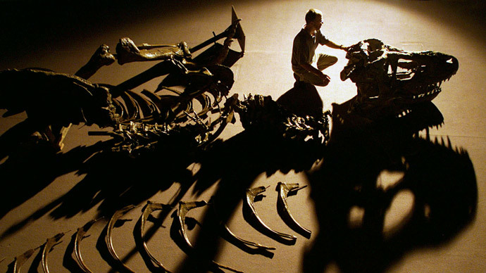 Dinosaurs wiped out by ‘nuclear winter’ effect, not firestorm after asteroid – study