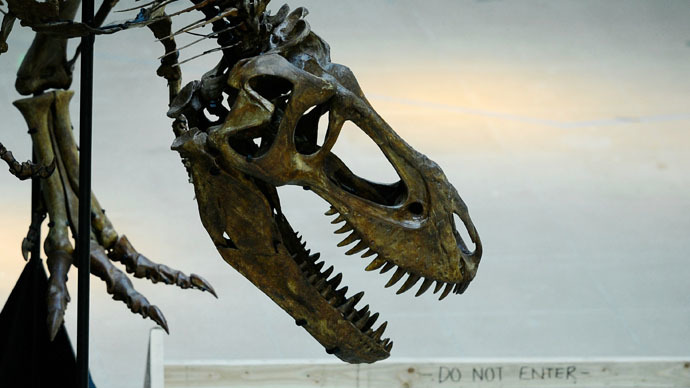 Tripping dinosaurs? Oldest-ever grass evolved along with fungus used in LSD