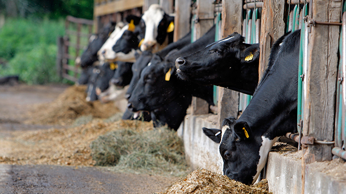 ‘Ag gag’ law criminalizing documentation of farming abuses passed in Wyoming