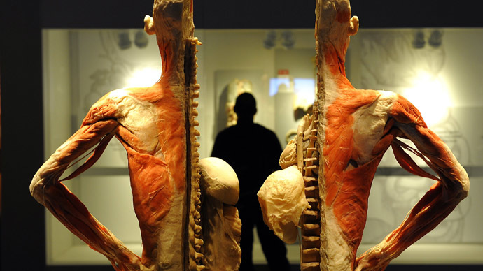 ‘Get under the skin’: UK’s first public human dissection in a century