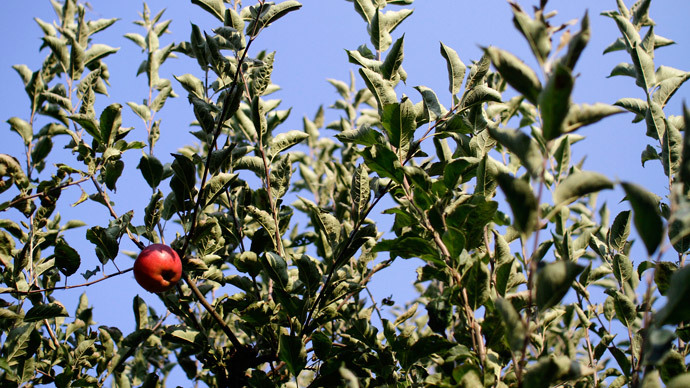 Russia may ban food imports from Serbia if re-export confirmed