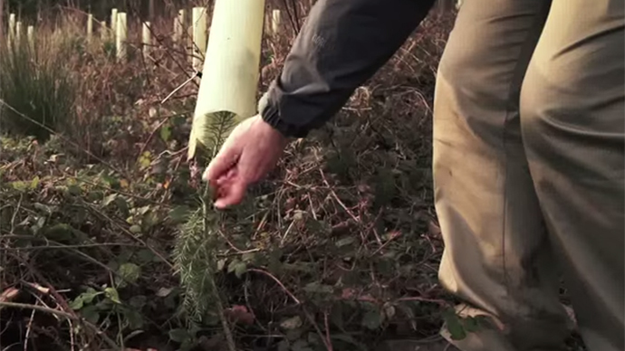 Green side of drones: Flying bots may plant 1 billion trees a year