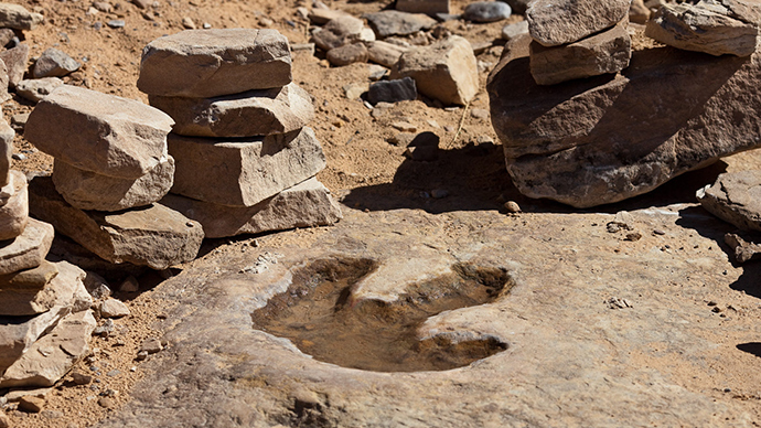 DinoDrone! Australian scientists use UAVs to track dinosaur footprints