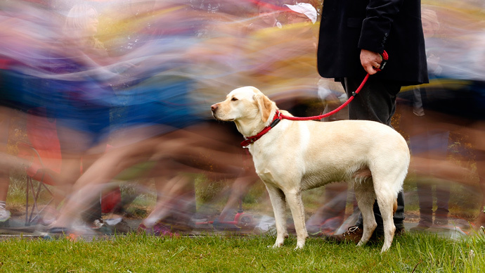 Dog poo to be DNA tested to track careless owners