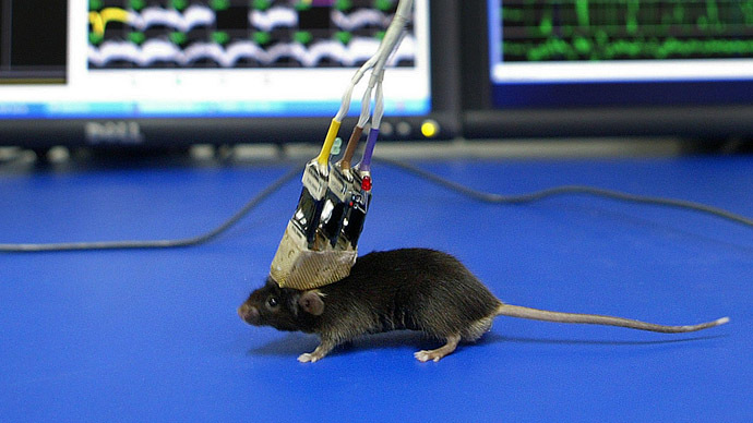 Hunger games: Scientists manipulate gluttony & food cravings in mice