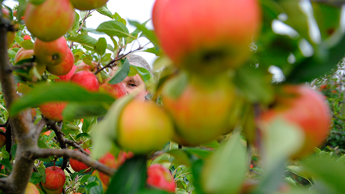 Russia to limit apple imports from Serbia