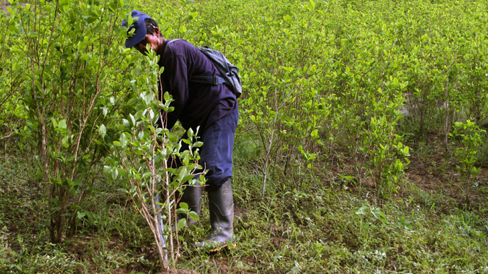 Colombia plans to eradicate Monsanto weed killer in drug war