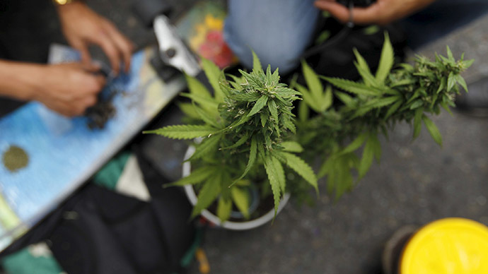 Medical marijuana falls short of easing symptoms of dementia – study