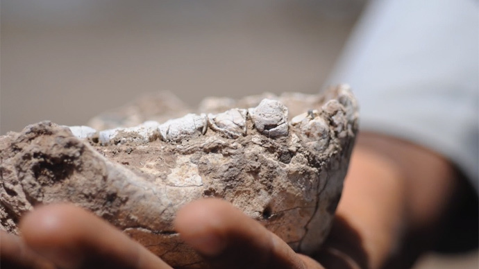 New human ancestor: Scientists discover Lucy's relative