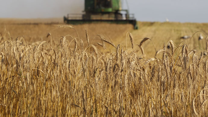 Russia begins grain deliveries to Iran – Russian food watchdog