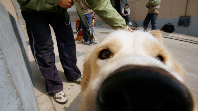 Guide dog throws itself in front of oncoming school bus to save blind owner