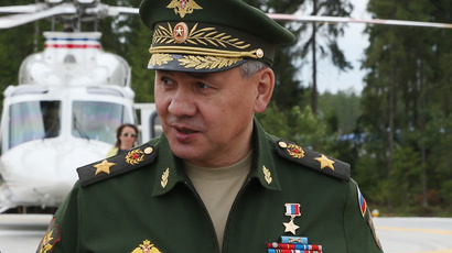 Defense Minister Sergey Shoigu (RIA Novosti / Ekaterina Shtukina) 