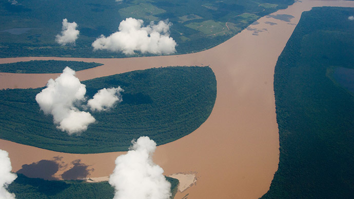 6th mass extinction already here as species disappear 100 times faster - study