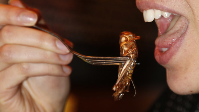 Bug burger anyone? Insect-based grub could hit Swiss groceries next year