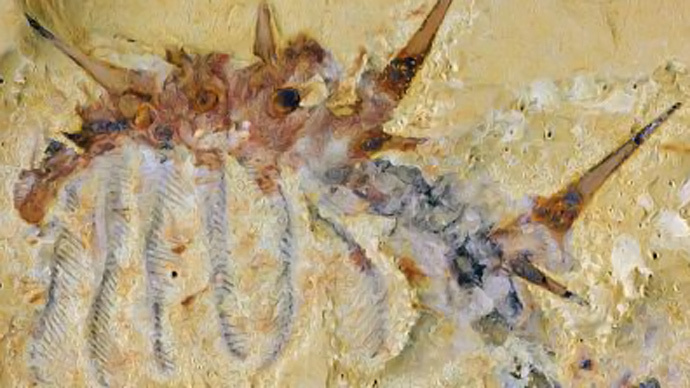 ‘Hairy Monster’: Scientists discover new species of ‘super-armored’ worm
