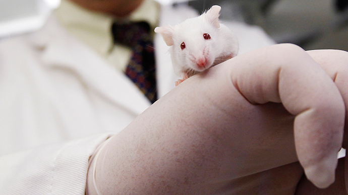 Medical breakthrough: Scientists hope to block ‘old-age protein’, reverse memory loss