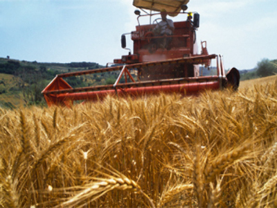 Agriculture moves into investment spotlight