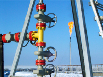 Alliance Oil posts FY 2009 net profit of $345 million
