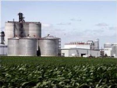 Bio-fuel in Russia: impossible at present?