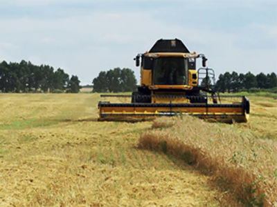 Black Earth Farming posts 1H 2010 Net Loss of $7.3 million