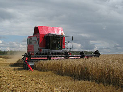 Black Earth Farming posts FY 2009 Net Loss of 1.349 billion Roubles