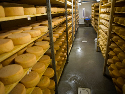Cheese makers look for further market support