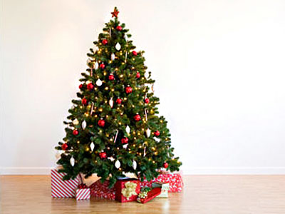 Christmas trees and flowers leading the Christmas New Year sales charge