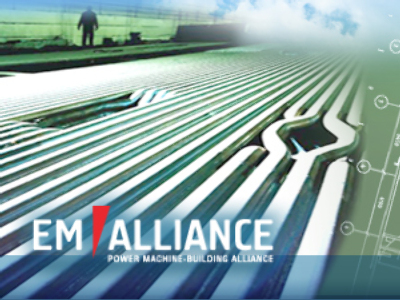 EMAlliance posts FY 2009 net profit of 355 million Roubles