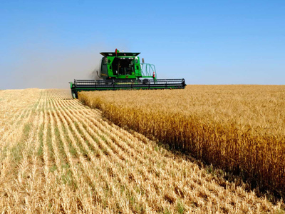 Black Earth Farming posts 1Q 2011 net loss of 448.1 million roubles