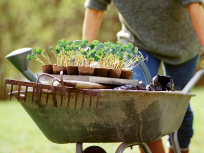 EuroChem to buy BASF fertilizer assets for €700 million