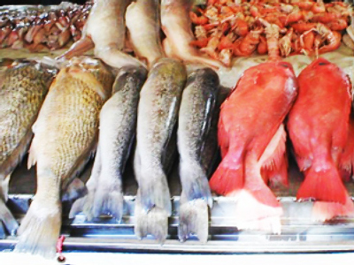Fisheries agency to bring fish to the people with moveable kiosks