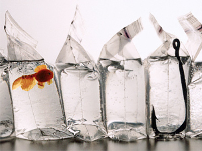 Fisheries look to take bigger catch of Russian consumers