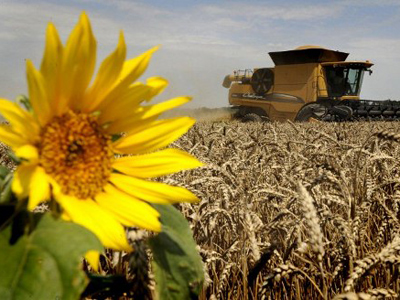 Farmers challenged by WTO accession