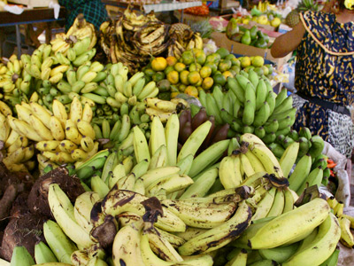 Latin America and EU end 20 year old ‘banana war’