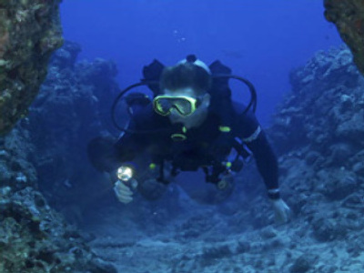 Market Watch November 28: Feeling for the bottom