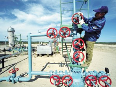 Novatek posts of 2Q 2010 net profit of 7.139 billion roubles