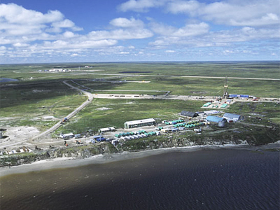 Novatek posts FY 2010 net income of 40.533 billion roubles