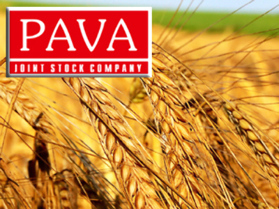 Pava posts FY 2008 Net Profit of 22.7 million Roubles