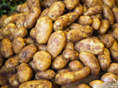 Potato shortage to stem from drought