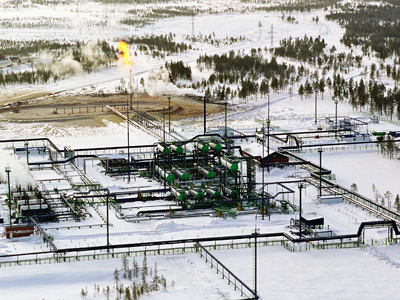 Putin calls for transparency on Russian natural reserves data