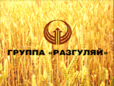 Razgulay chief calls for increased support for Russian agriculture