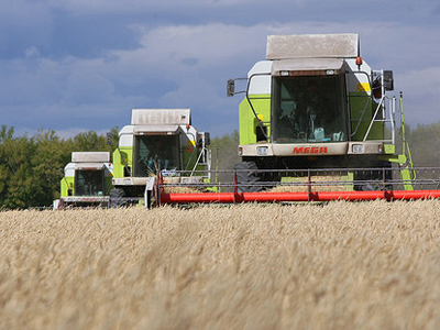 Russian agriculture from the global perspective