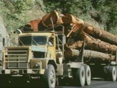 Russia and Finland talk timber