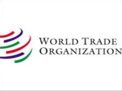 Russia can fail to join WTO: EU Ambassador to Moscow