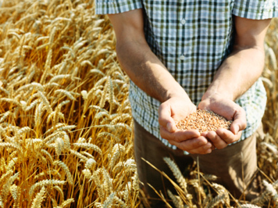 Grain controls on horizon as new Chinese agriculture links signed off