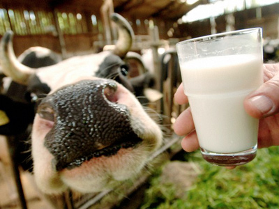 Milking an investment