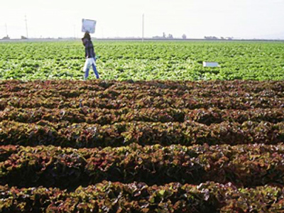 Fertilizer market consolidation taking shape